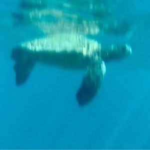 SECOND FOLLOW GAME!!!!